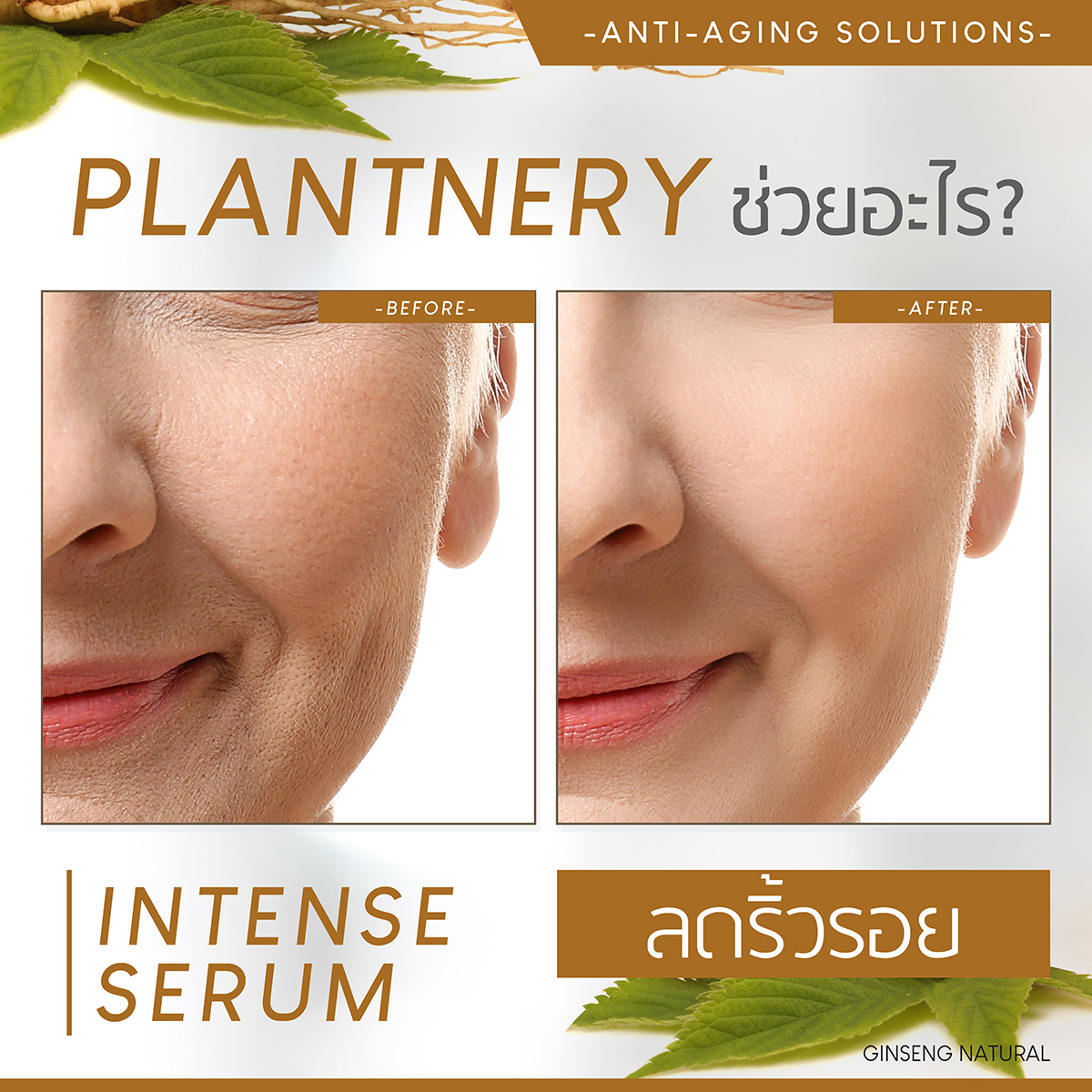 Plantnery Ginseng Facial Serum ปริมาณ 30ml